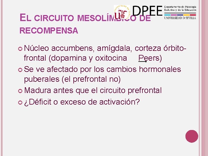 EL CIRCUITO MESOLÍMBICO DE RECOMPENSA Núcleo accumbens, amígdala, corteza órbitofrontal (dopamina y oxitocina Peers)