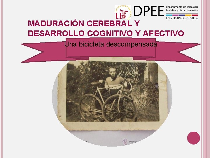 MADURACIÓN CEREBRAL Y DESARROLLO COGNITIVO Y AFECTIVO Una bicicleta descompensada 