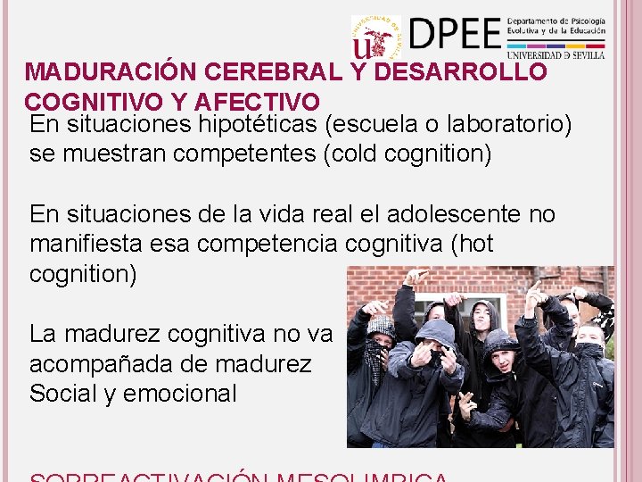 MADURACIÓN CEREBRAL Y DESARROLLO COGNITIVO Y AFECTIVO En situaciones hipotéticas (escuela o laboratorio) se