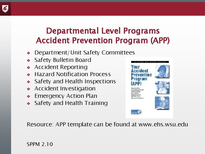 Departmental Level Programs Accident Prevention Program (APP) v v v v Department/Unit Safety Committees