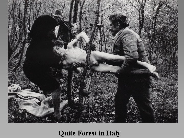 Quite Forest in Italy 