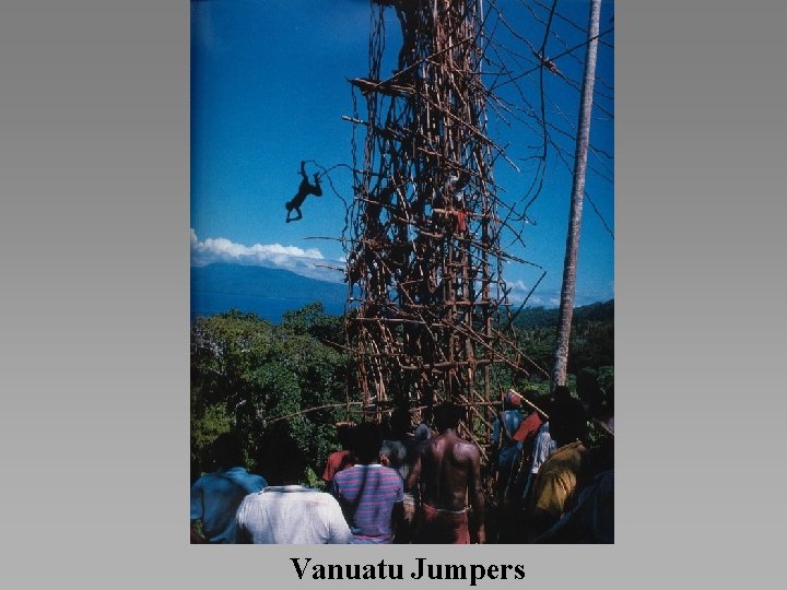 Vanuatu Jumpers 
