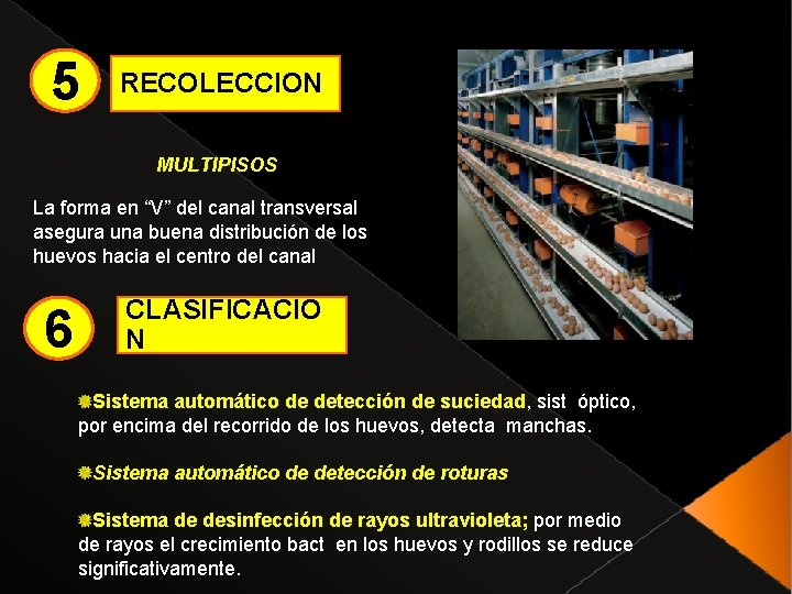 5 RECOLECCION MULTIPISOS La forma en “V” del canal transversal asegura una buena distribución