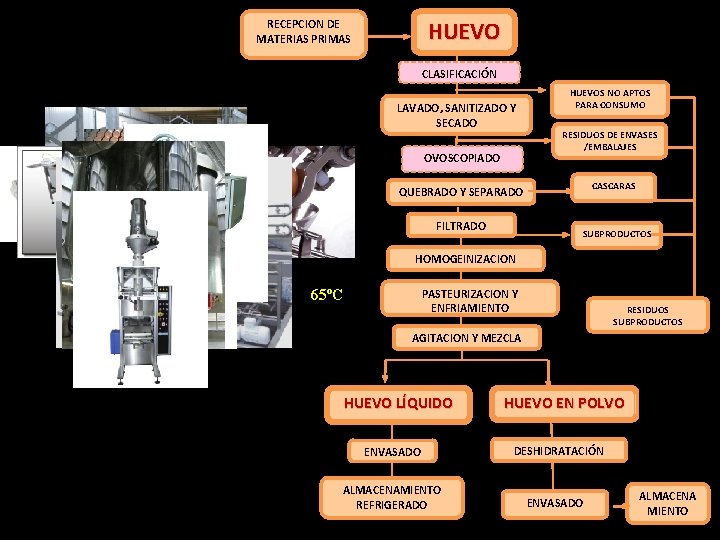 HUEVO RECEPCION DE MATERIAS PRIMAS CLASIFICACIÓN LAVADO, SANITIZADO Y SECADO OVOSCOPIADO HUEVOS NO APTOS