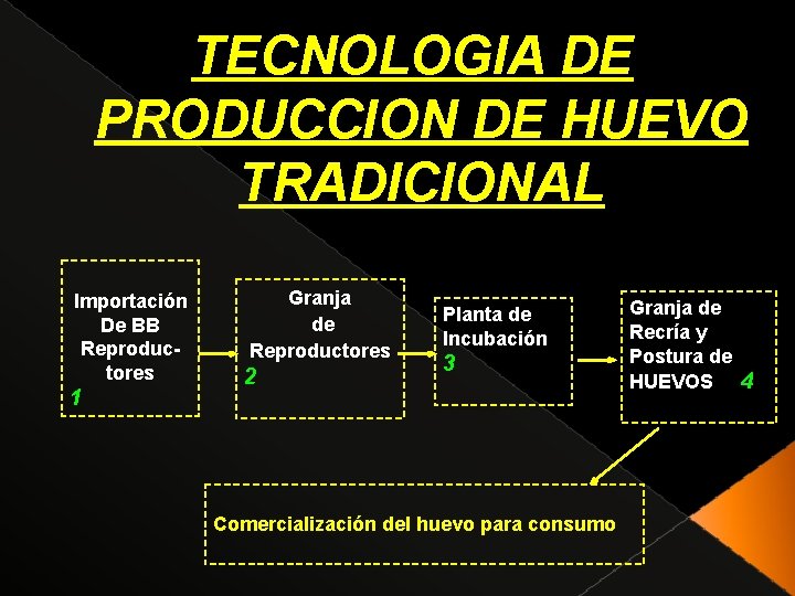 TECNOLOGIA DE PRODUCCION DE HUEVO TRADICIONAL Importación De BB Reproductores 1 Granja de Reproductores