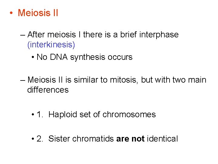  • Meiosis II – After meiosis I there is a brief interphase (interkinesis)