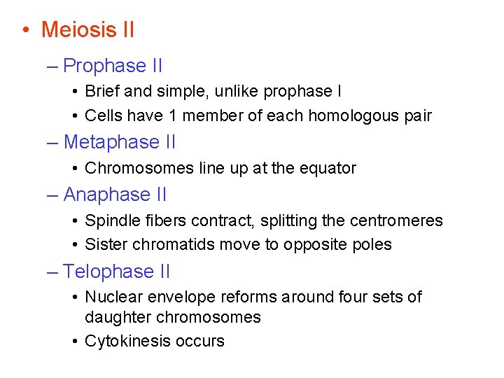  • Meiosis II – Prophase II • Brief and simple, unlike prophase I