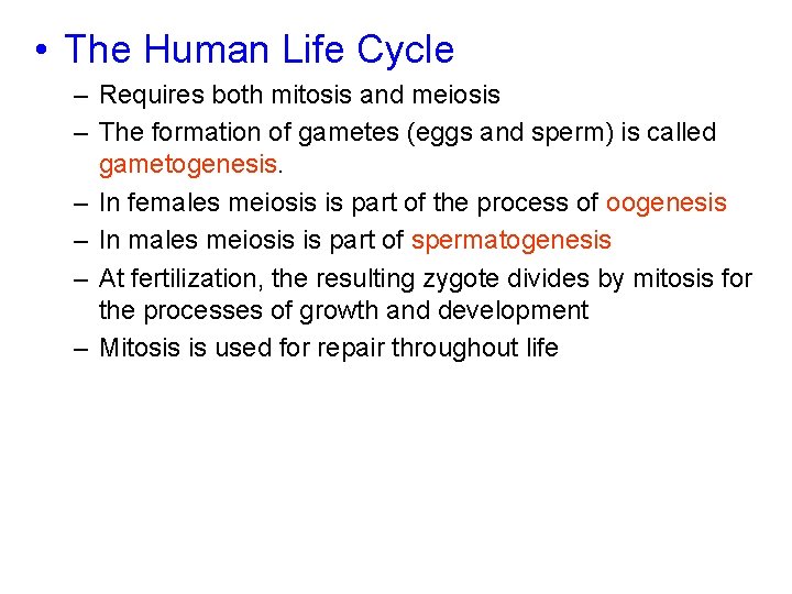  • The Human Life Cycle – Requires both mitosis and meiosis – The