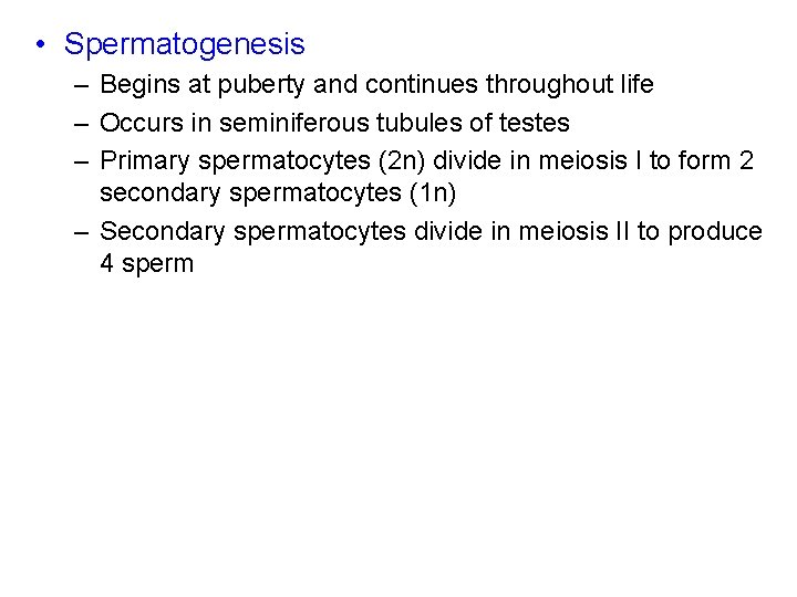  • Spermatogenesis – Begins at puberty and continues throughout life – Occurs in