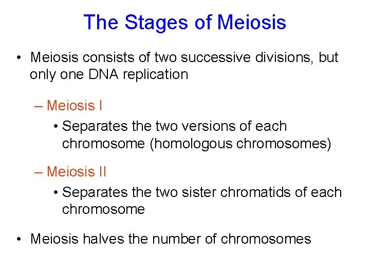 The Stages of Meiosis • Meiosis consists of two successive divisions, but only one