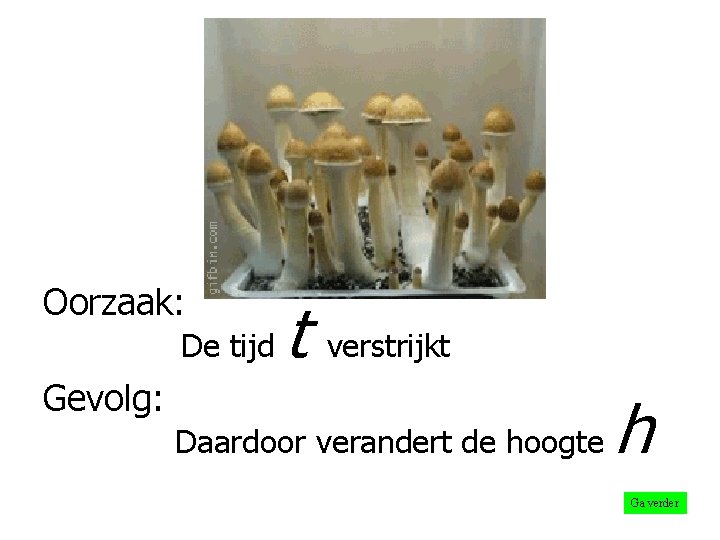 Oorzaak: De tijd t verstrijkt Gevolg: Daardoor verandert de hoogte h Ga verder 