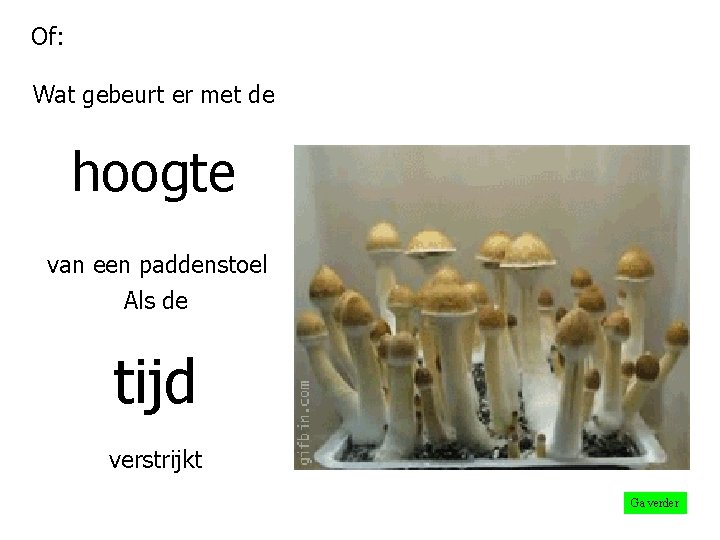 Of: Wat gebeurt er met de hoogte van een paddenstoel Als de tijd verstrijkt