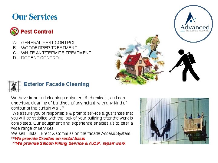 Our Services Pest Control A. B. C. D. GENERAL PEST CONTROL WOODBORER TREATMENT. WHITE