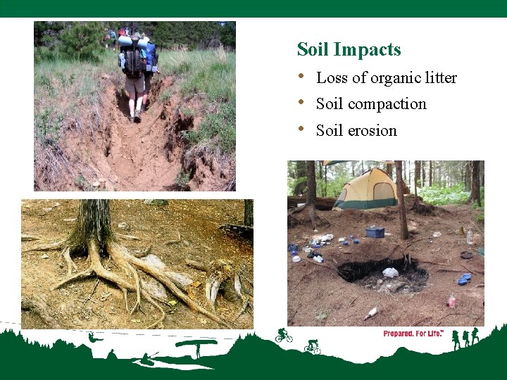 Soil Impacts • Loss of organic litter • Soil compaction • Soil erosion 