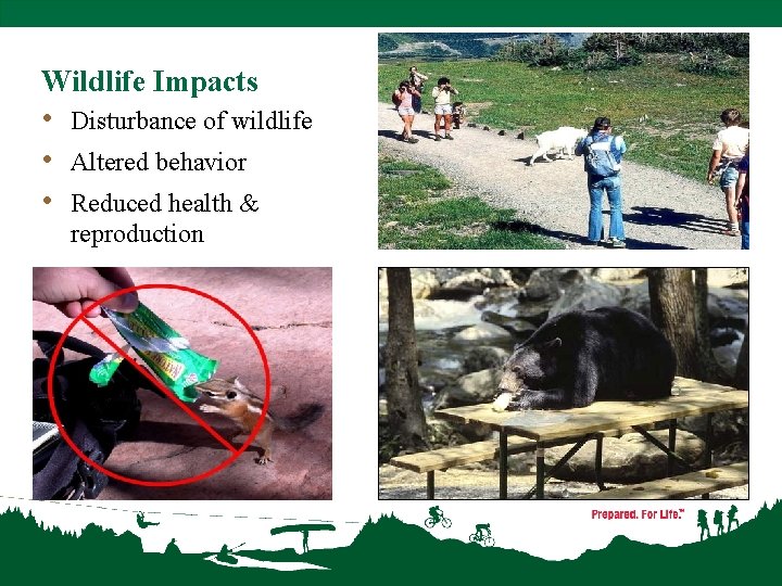 Wildlife Impacts • Disturbance of wildlife • Altered behavior • Reduced health & reproduction