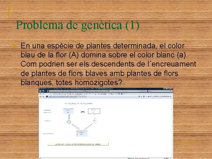 Problema de genètica (1) n En una espècie de plantes determinada, el color blau