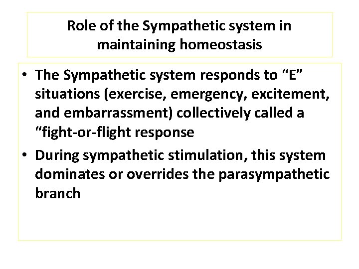 Role of the Sympathetic system in maintaining homeostasis • The Sympathetic system responds to
