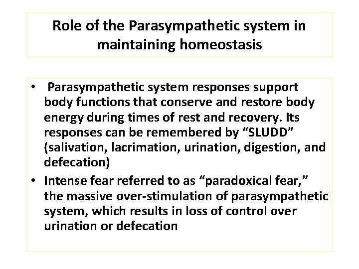 Role of the Parasympathetic system in maintaining homeostasis • Parasympathetic system responses support body