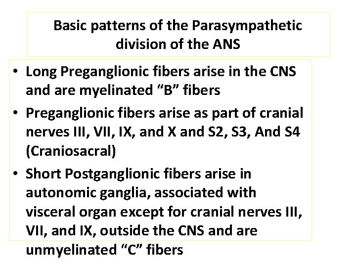 Basic patterns of the Parasympathetic division of the ANS • Long Preganglionic fibers arise