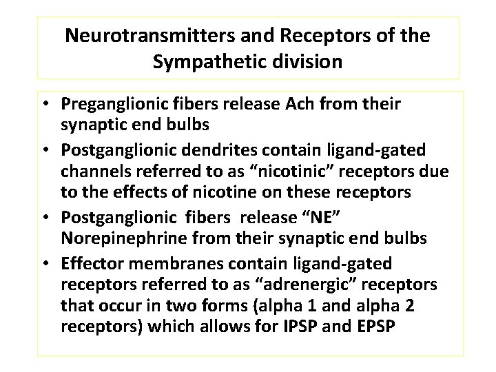 Neurotransmitters and Receptors of the Sympathetic division • Preganglionic fibers release Ach from their