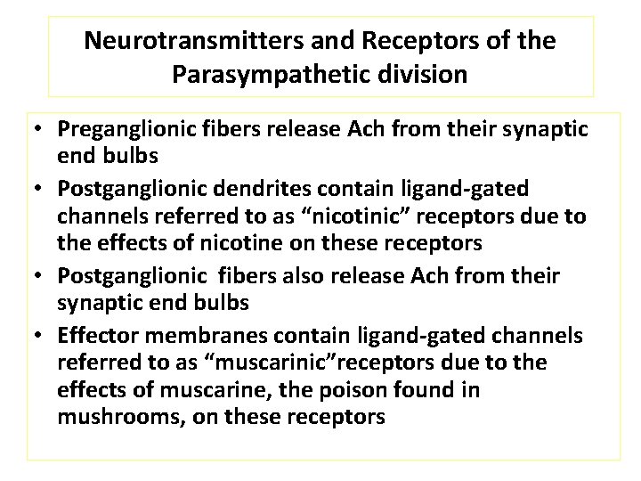 Neurotransmitters and Receptors of the Parasympathetic division • Preganglionic fibers release Ach from their