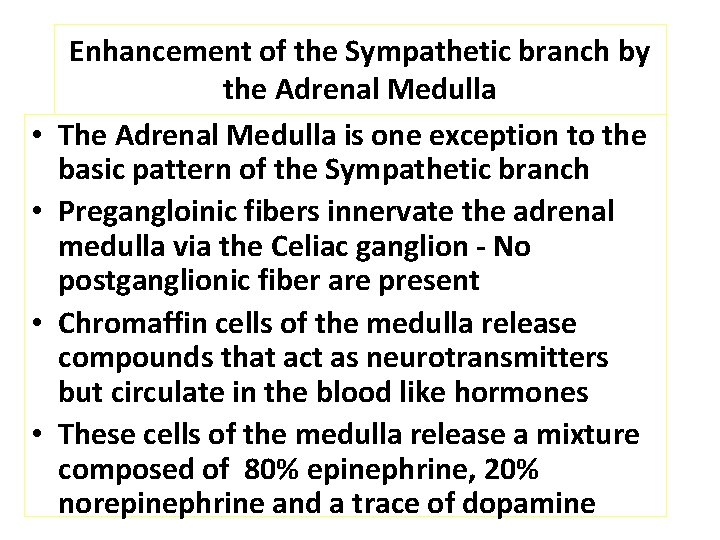  • • Enhancement of the Sympathetic branch by the Adrenal Medulla The Adrenal