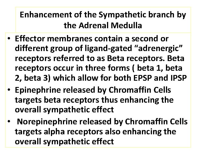 Enhancement of the Sympathetic branch by the Adrenal Medulla • Effector membranes contain a