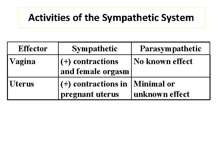 Activities of the Sympathetic System Effector Vagina Uterus Sympathetic Parasympathetic (+) contractions No known