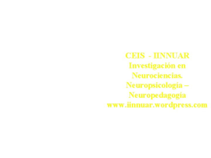 CEIS - IINNUAR Investigación en Neurociencias. Neuropsicología – Neuropedagogía www. iinnuar. wordpress. com 