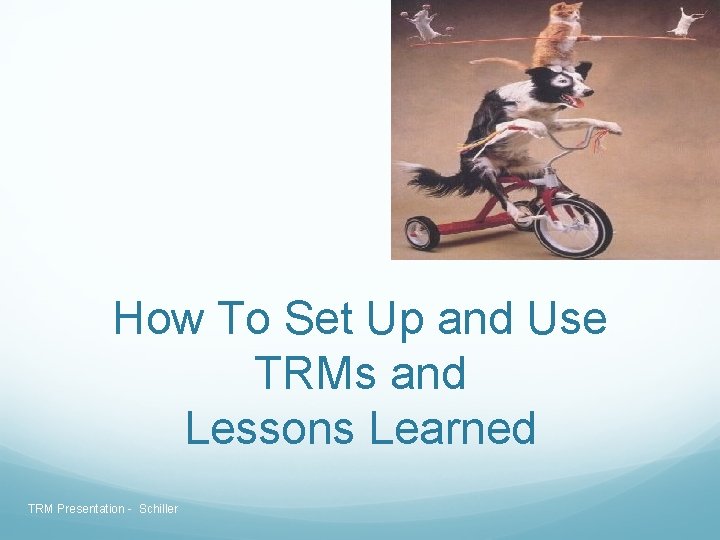 How To Set Up and Use TRMs and Lessons Learned TRM Presentation - Schiller How To Set Up and Use TRMs and Lessons Learned TRM Presentation - Schiller