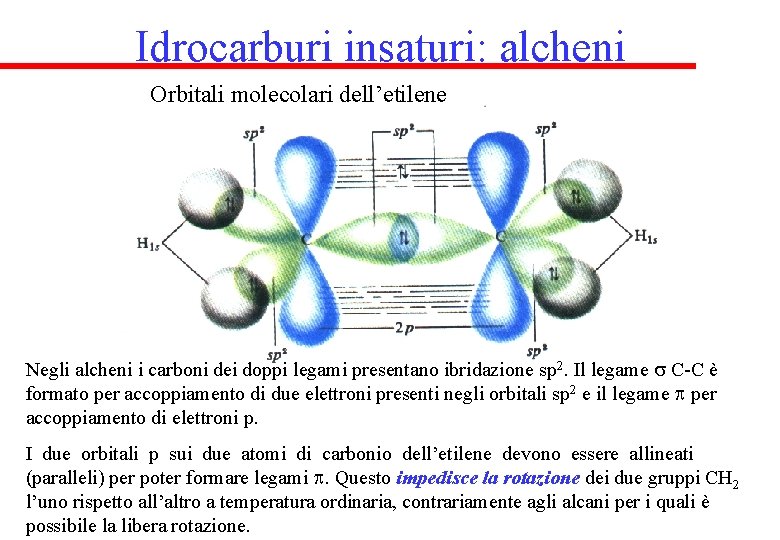 Idrocarburi insaturi: alcheni Orbitali molecolari dell’etilene Negli alcheni i carboni dei doppi legami presentano