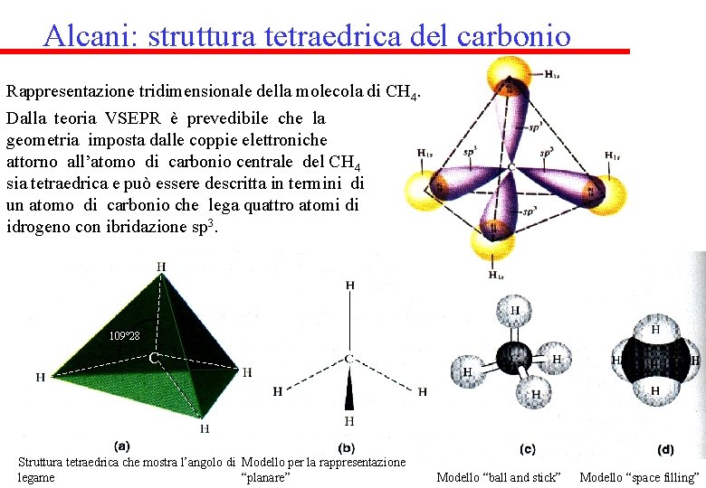 Alcani: struttura tetraedrica del carbonio Rappresentazione tridimensionale della molecola di CH 4. Dalla teoria