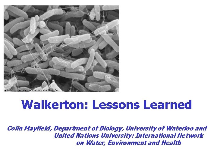 Walkerton: Lessons Learned Colin Mayfield, Department of Biology, University of Waterloo and United Nations