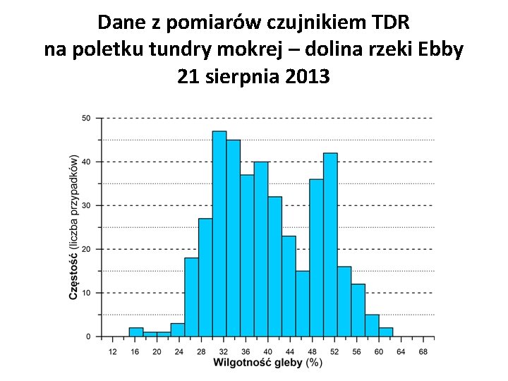 Dane z pomiarów czujnikiem TDR na poletku tundry mokrej – dolina rzeki Ebby 21