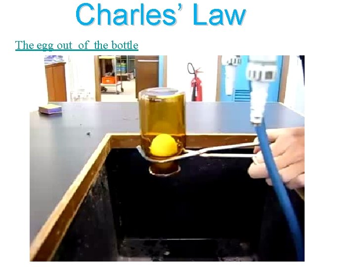 Charles’ Law The egg out of the bottle Courtesy Christy Johannesson www. nisd. net/communicationsarts/pages/chem