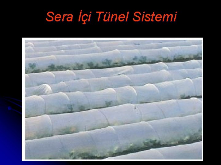 Sera İçi Tünel Sistemi 