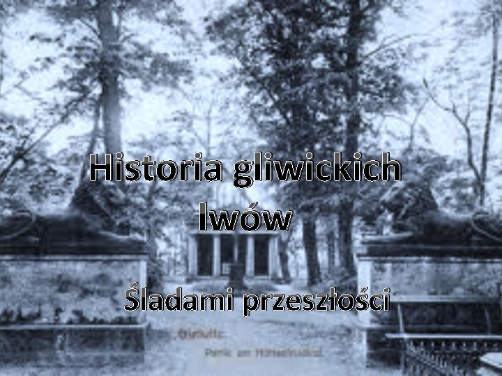 Historia gliwickich lwów Śladami przeszłości 