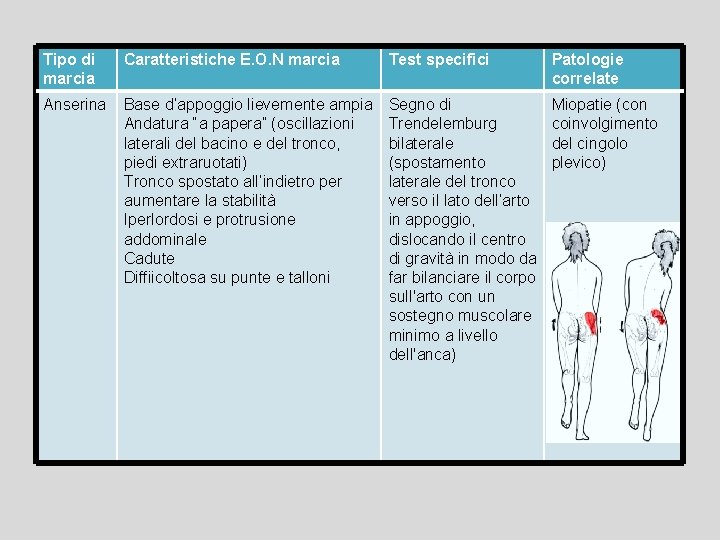 Tipo di marcia Caratteristiche E. O. N marcia Test specifici Patologie correlate Anserina Base
