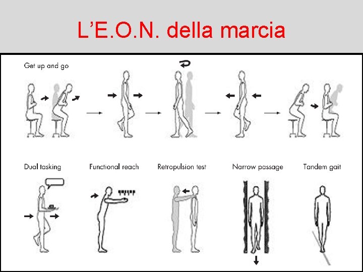 L’E. O. N. della marcia 