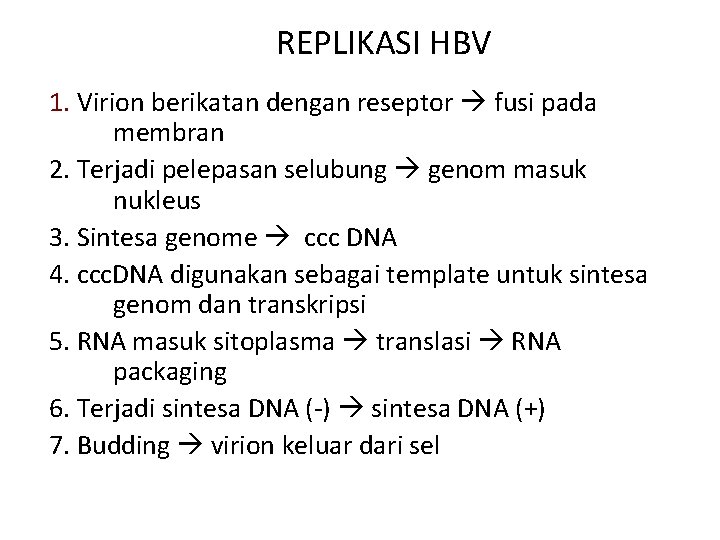 REPLIKASI HBV 1. Virion berikatan dengan reseptor fusi pada membran 2. Terjadi pelepasan selubung