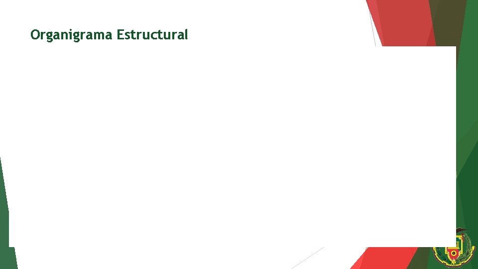 Organigrama Estructural 