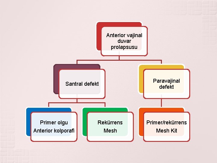 Anterior vajinal duvar prolapsusu Paravajinal defekt Santral defekt Primer olgu Rekürrens Primer/rekürrens Anterior kolporafi