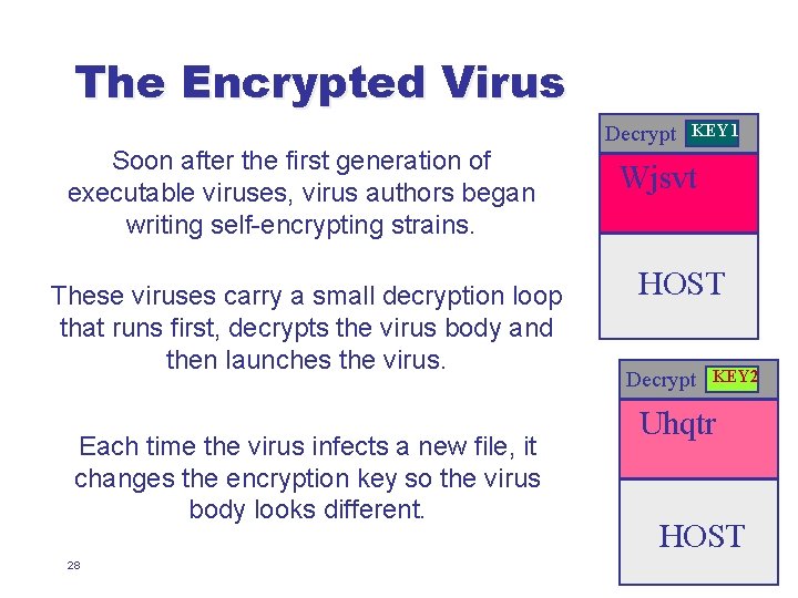 The Encrypted Virus Soon after the first generation of executable viruses, virus authors began
