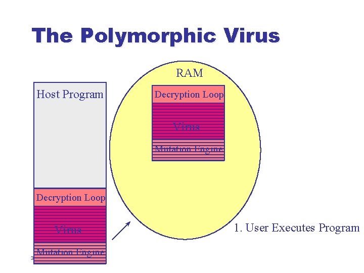 The Polymorphic Virus RAM Host Program Decryption Loop Virus Mutation Engine 31 1. User