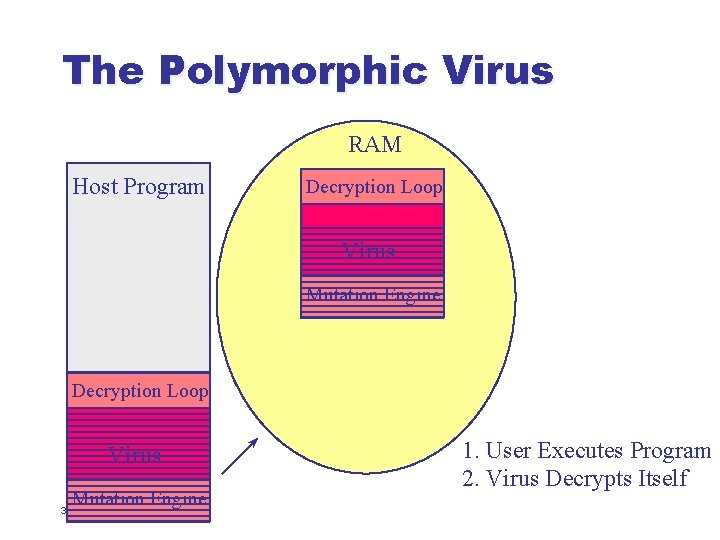 The Polymorphic Virus RAM Host Program Decryption Loop Virus Mutation Engine 32 1. User