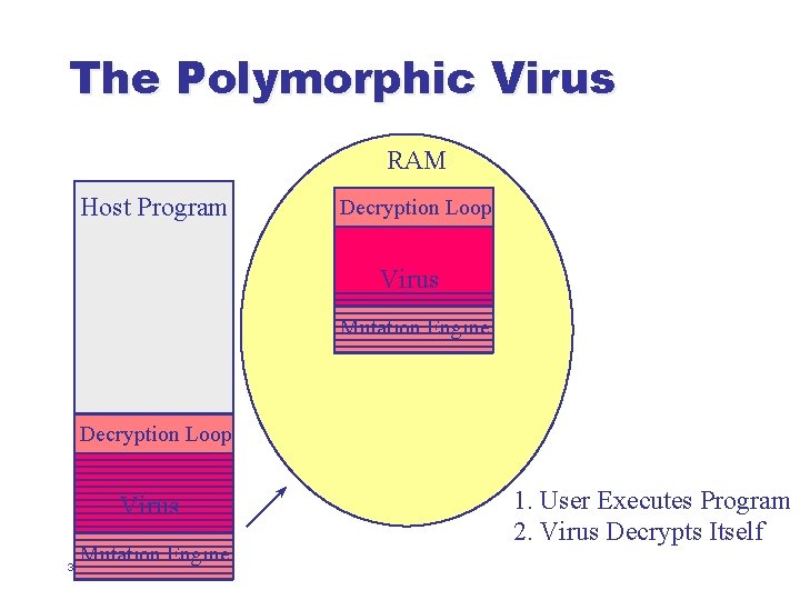 The Polymorphic Virus RAM Host Program Decryption Loop Virus Mutation Engine 33 1. User