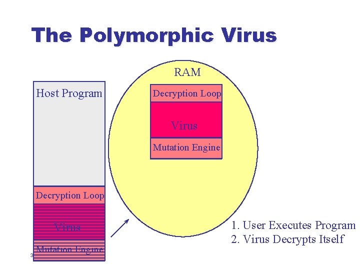 The Polymorphic Virus RAM Host Program Decryption Loop Virus Mutation Engine 34 1. User