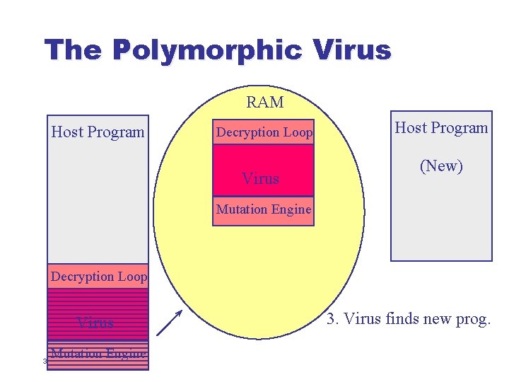 The Polymorphic Virus RAM Host Program Decryption Loop Virus Host Program (New) Mutation Engine