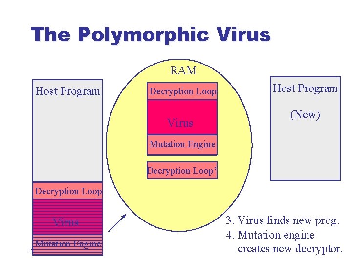 The Polymorphic Virus RAM Host Program Decryption Loop Virus Host Program (New) Mutation Engine