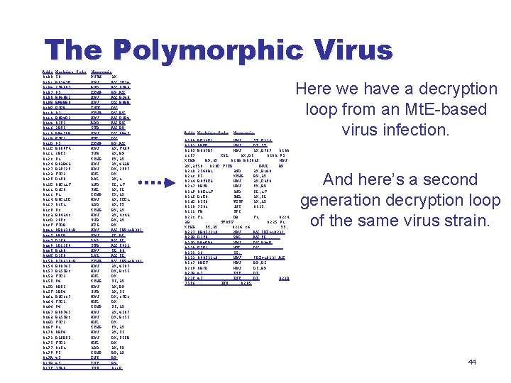 The Polymorphic Virus Addr 0100 0101 0104 0107 0108 010 B 010 E 0110